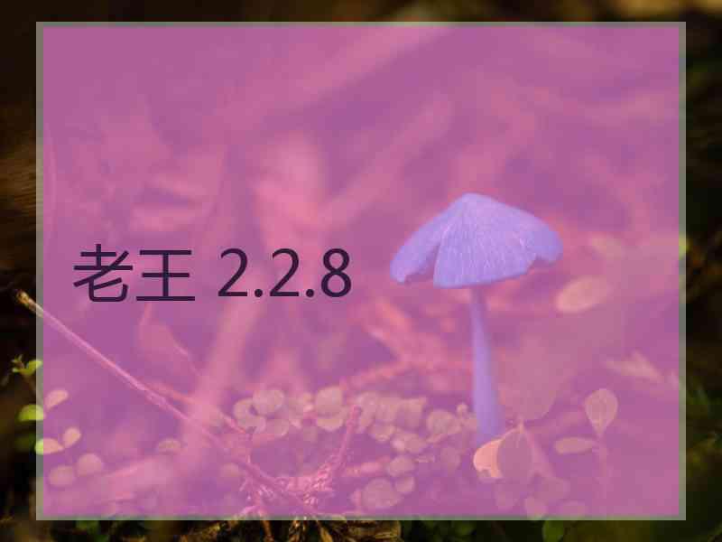 老王 2.2.8