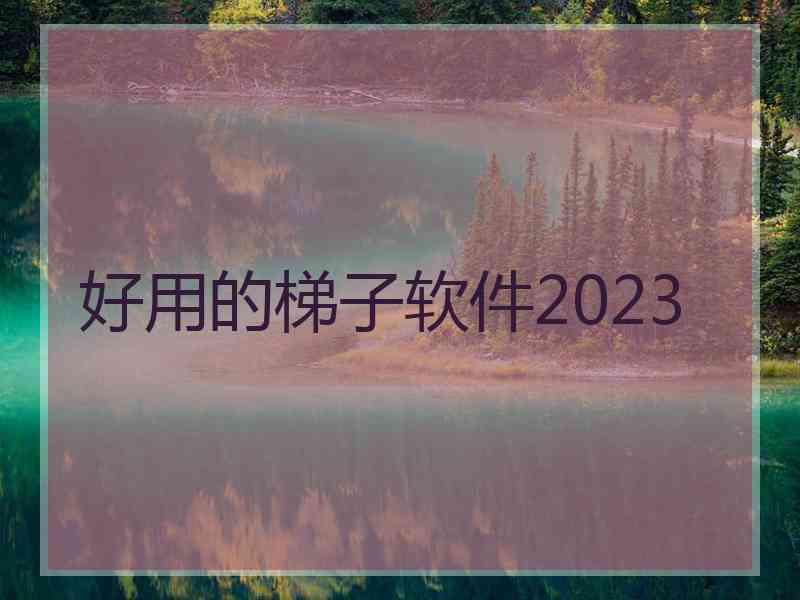 好用的梯子软件2023