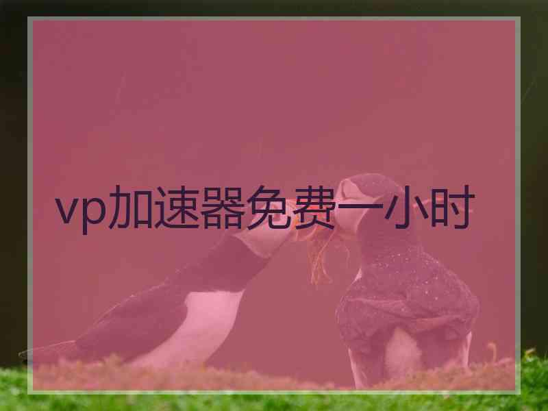 vp加速器免费一小时