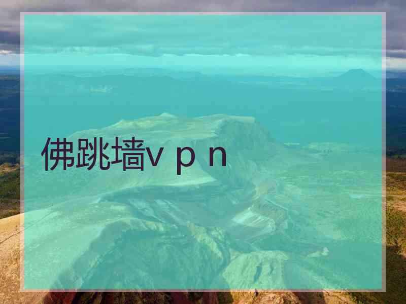 佛跳墙v p n