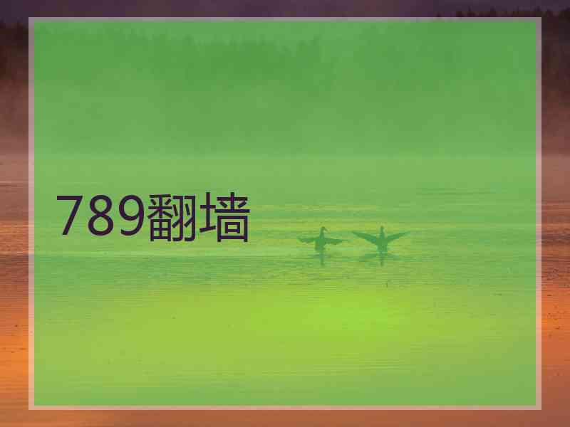 789翻墙