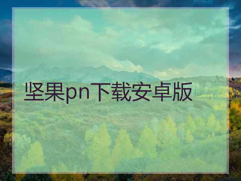 坚果pn下载安卓版