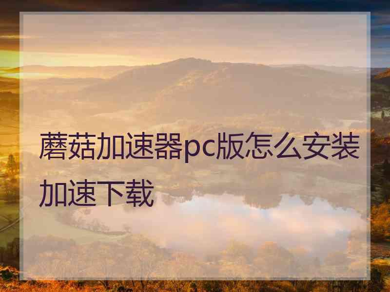 蘑菇加速器pc版怎么安装加速下载