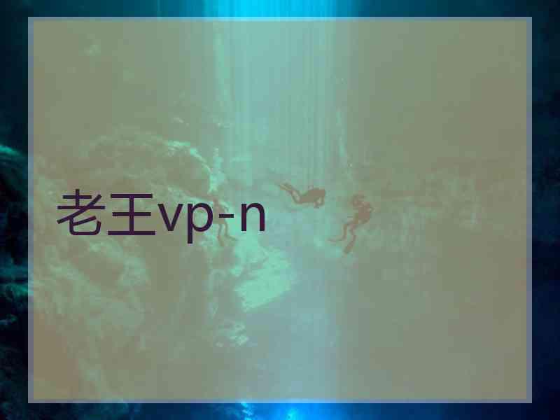 老王vp-n