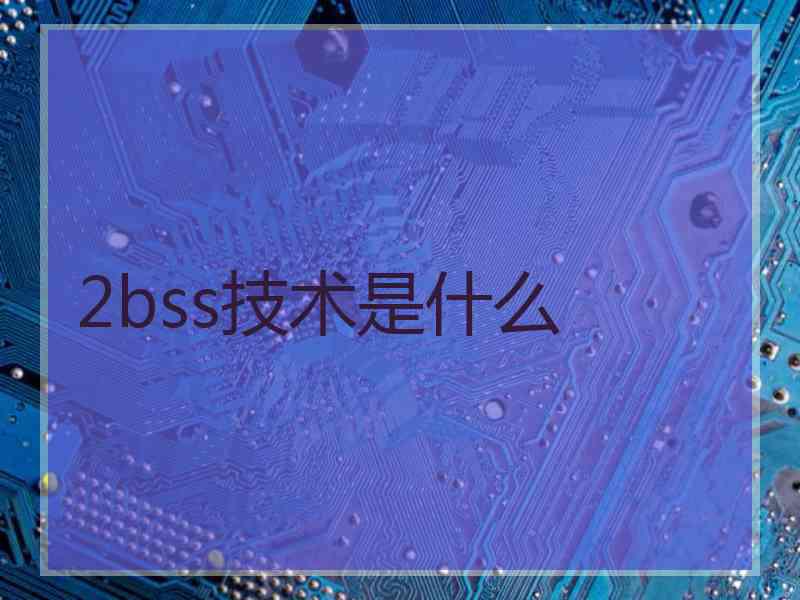 2bss技术是什么