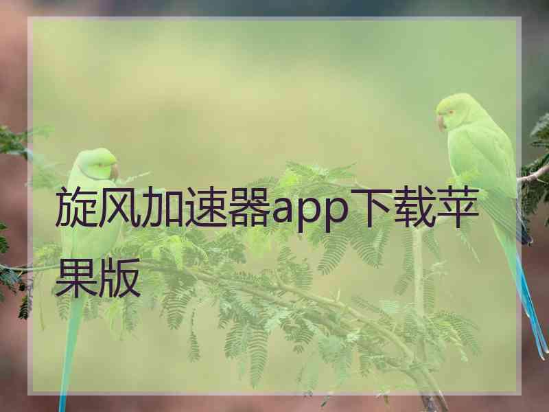 旋风加速器app下载苹果版