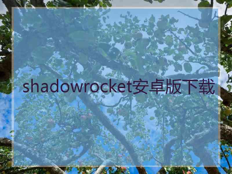 shadowrocket安卓版下载