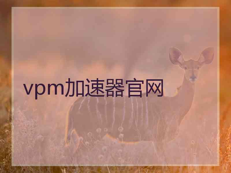 vpm加速器官网