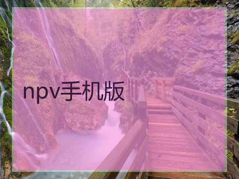 npv手机版