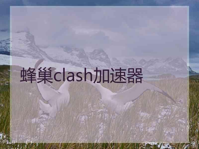 蜂巢clash加速器