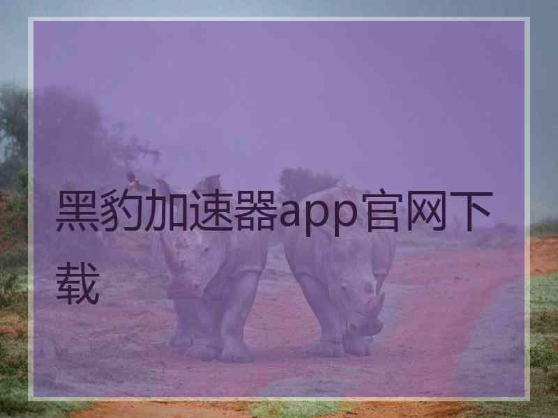 黑豹加速器app官网下载