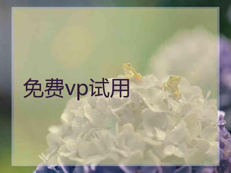 免费vp试用