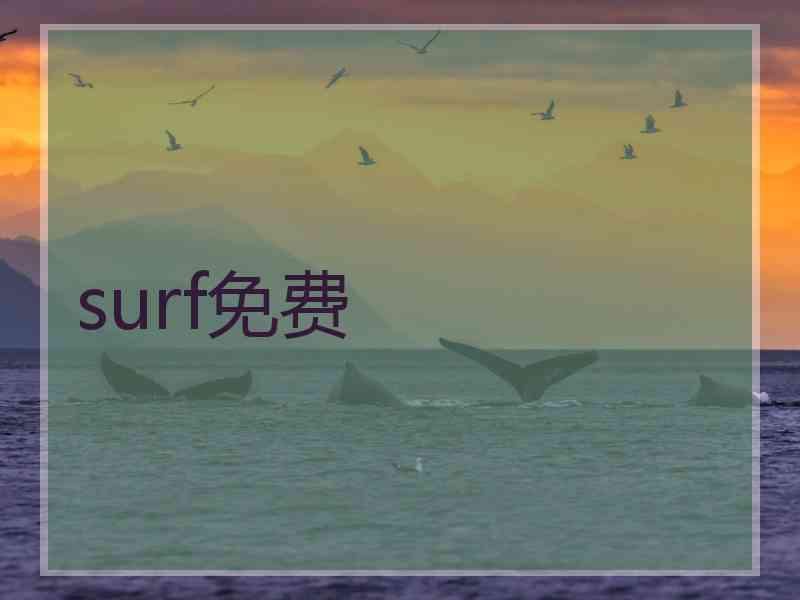 surf免费