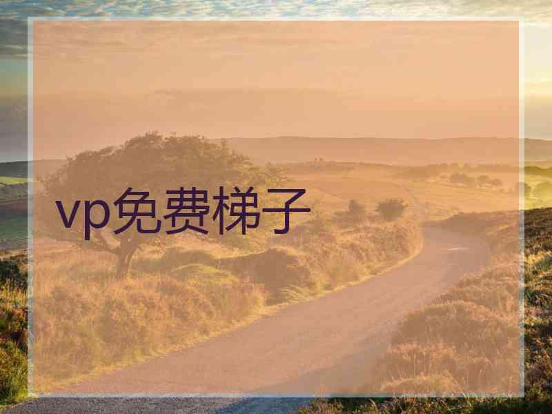 vp免费梯子