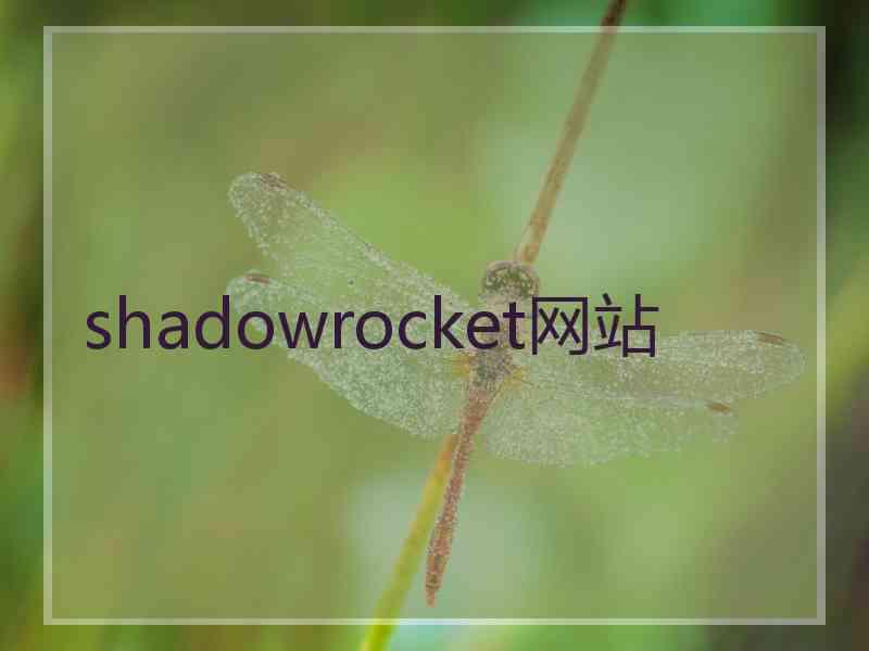 shadowrocket网站