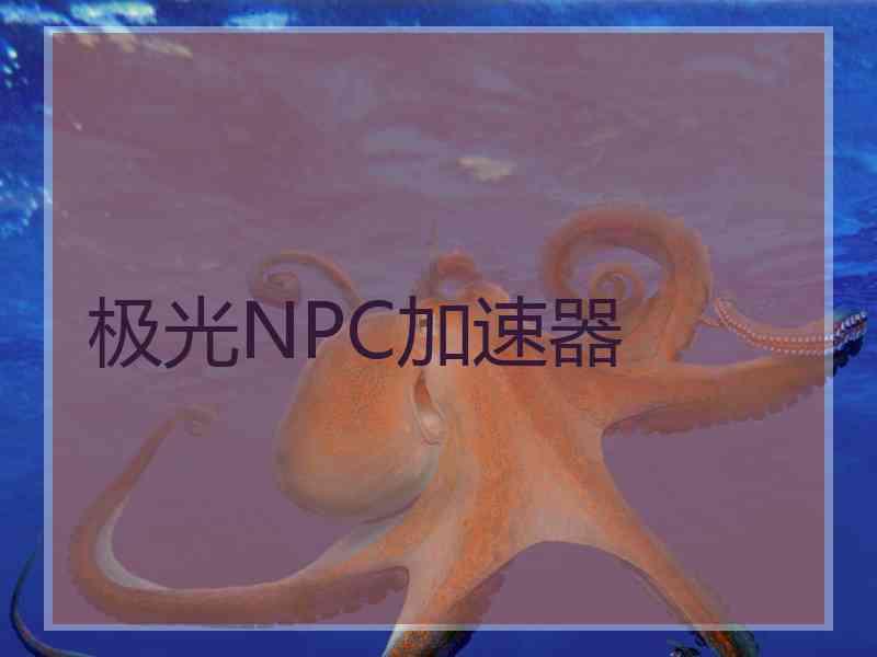 极光NPC加速器