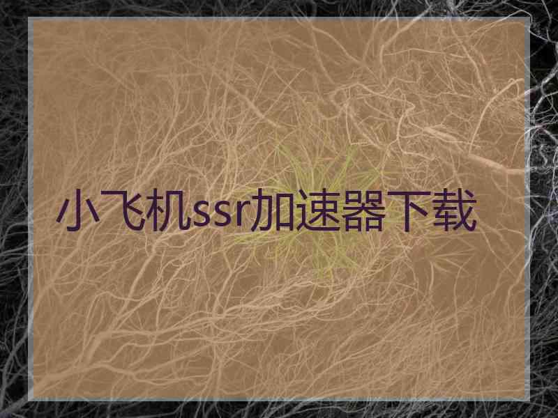 小飞机ssr加速器下载