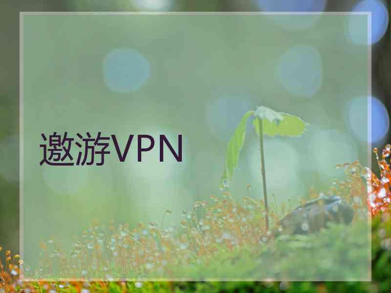 邀游VPN