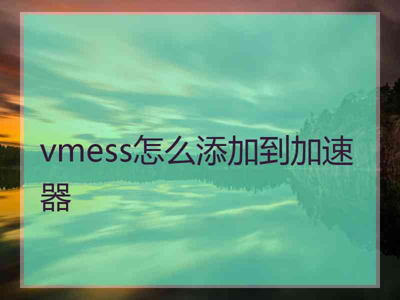 vmess怎么添加到加速器