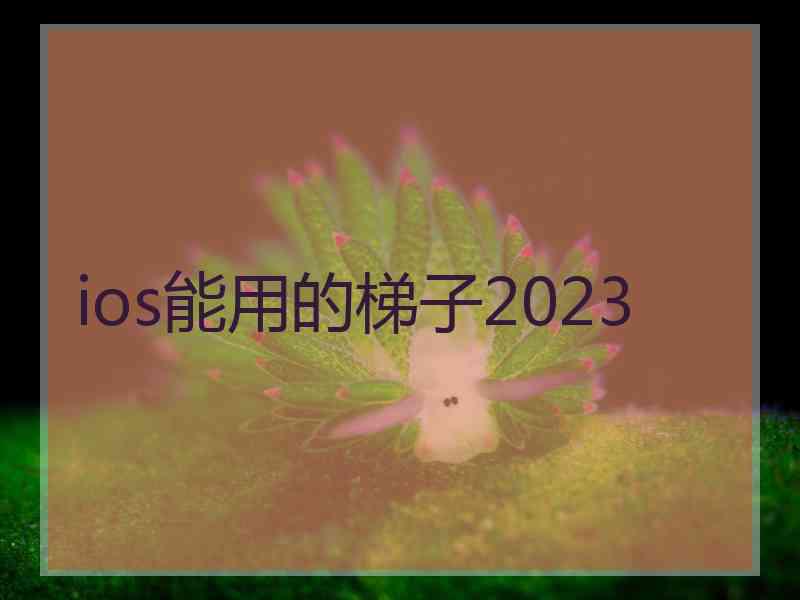 ios能用的梯子2023