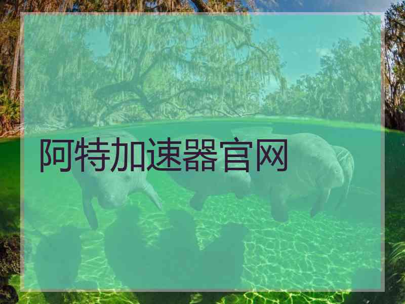 阿特加速器官网