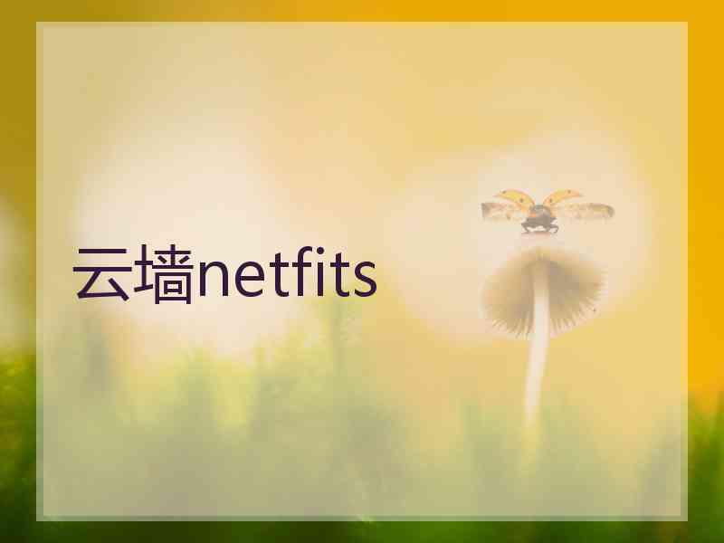 云墙netfits