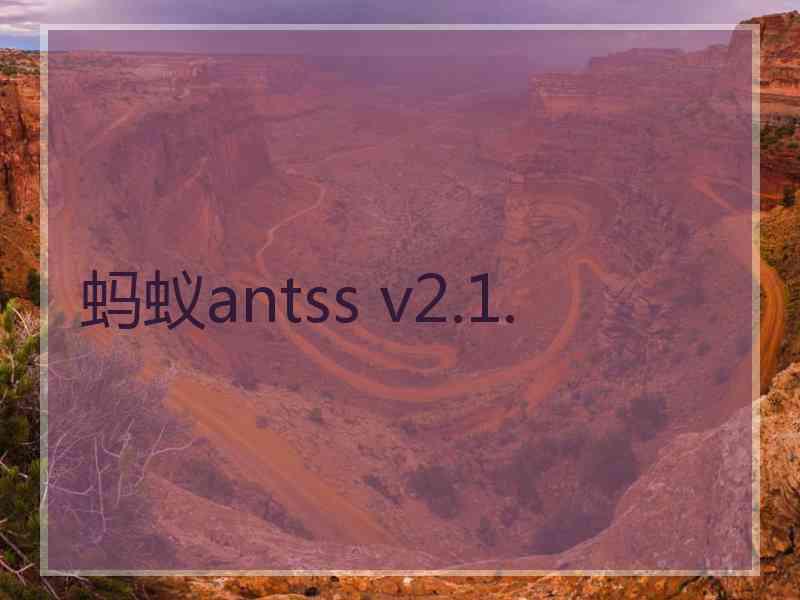 蚂蚁antss v2.1.