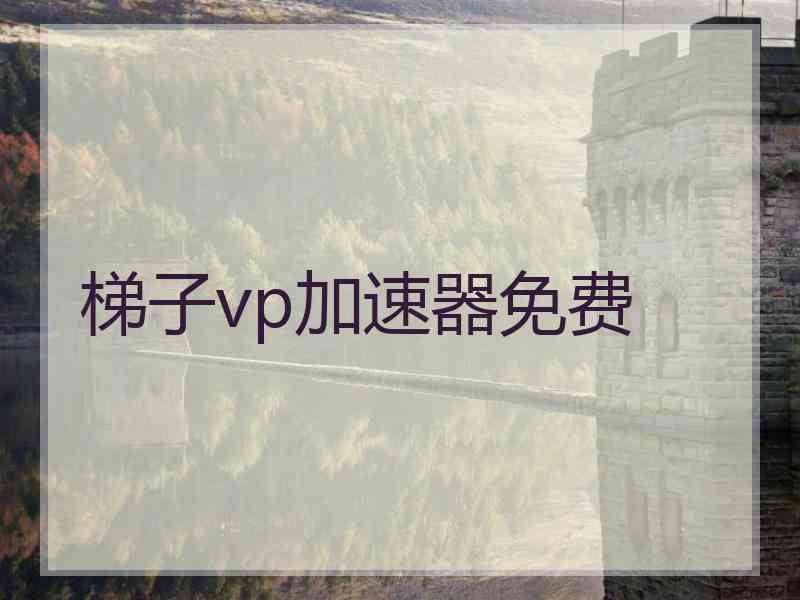 梯子vp加速器免费