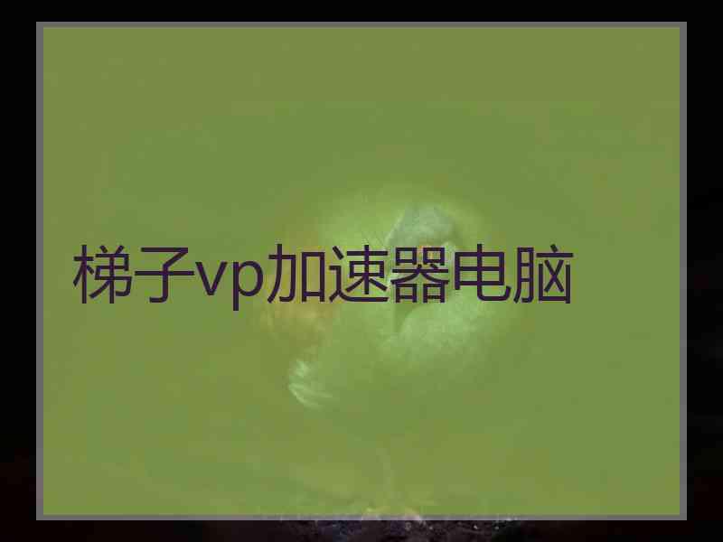 梯子vp加速器电脑