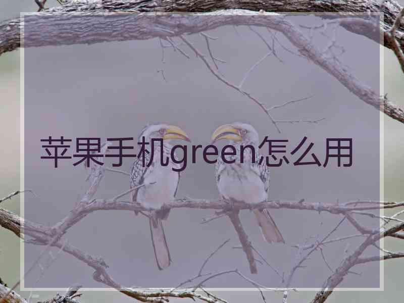 苹果手机green怎么用