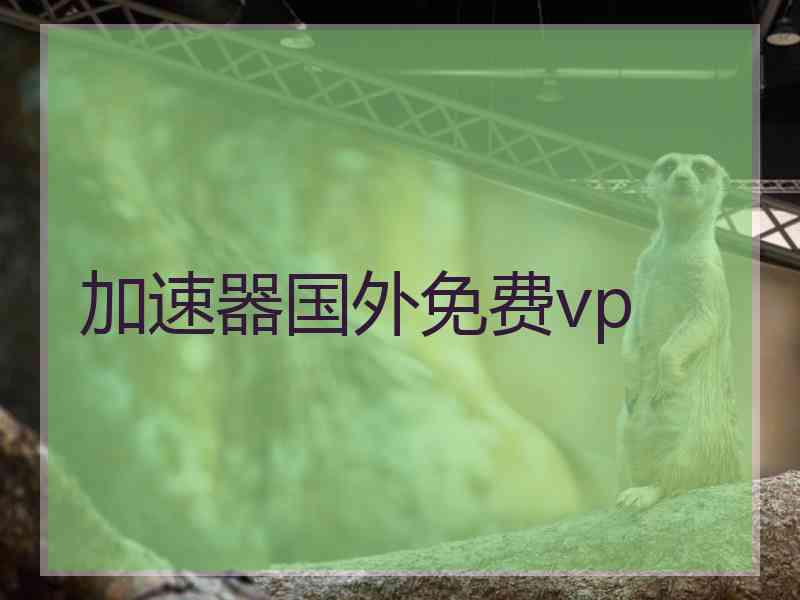 加速器国外免费vp