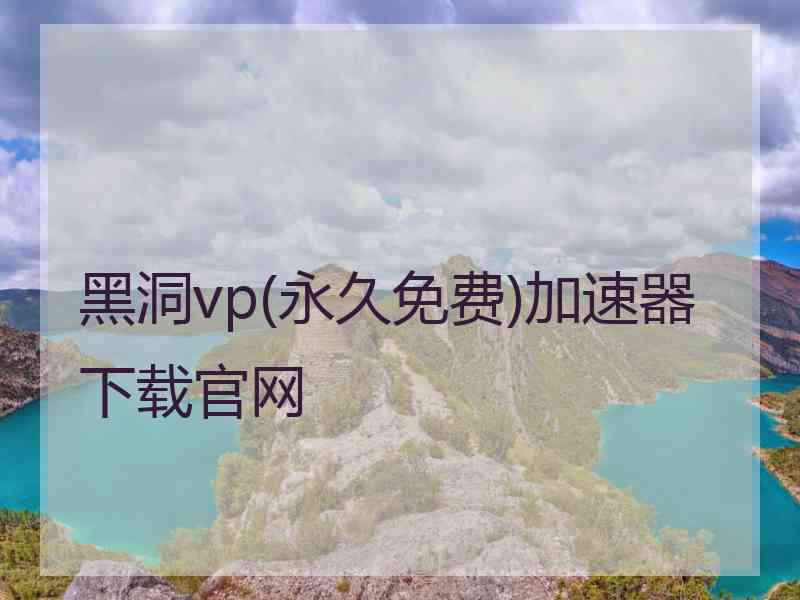 黑洞vp(永久免费)加速器下载官网