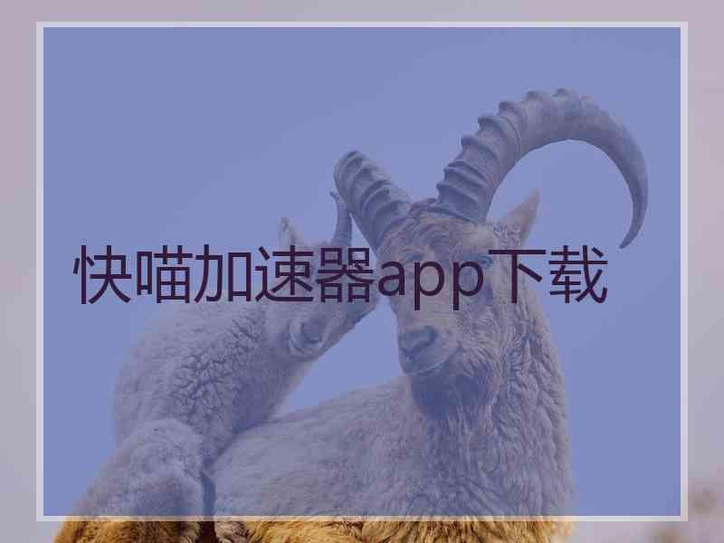 快喵加速器app下载