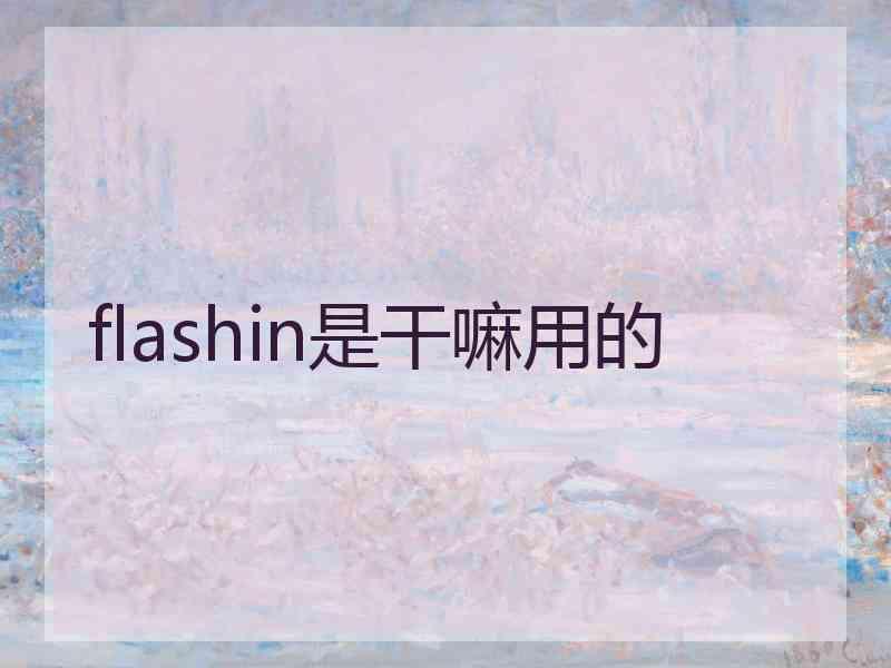 flashin是干嘛用的