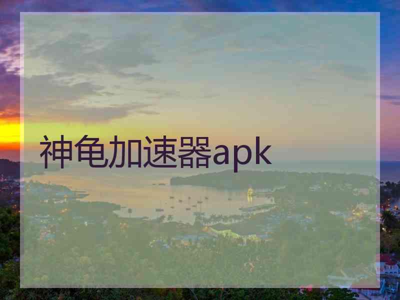 神龟加速器apk