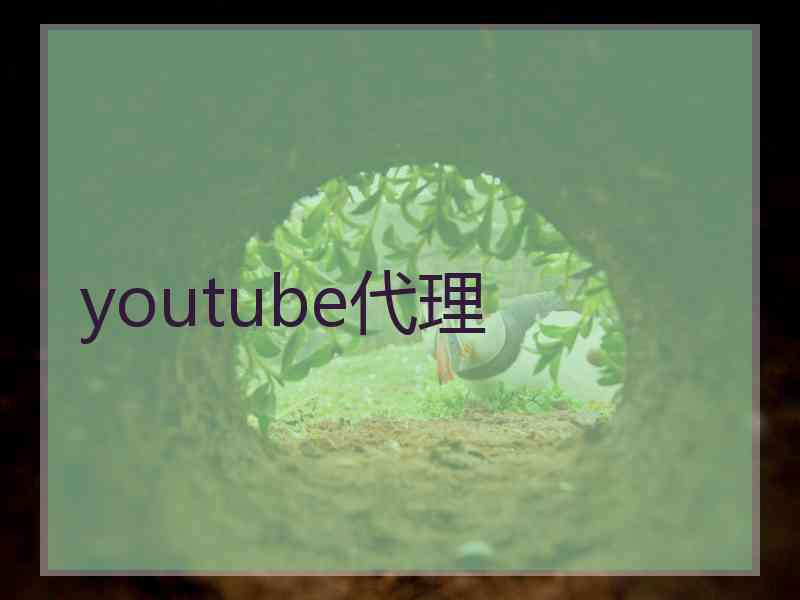 youtube代理