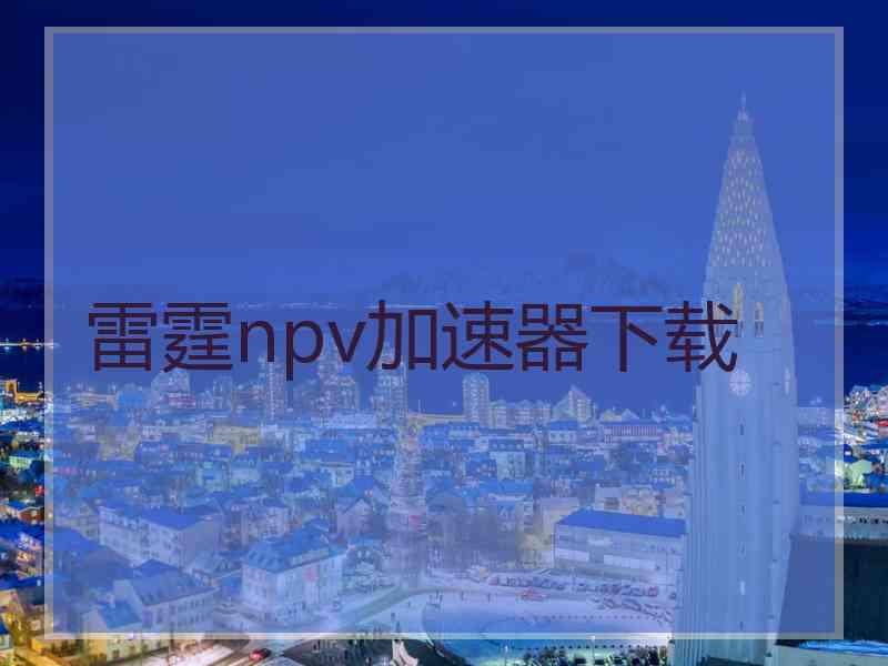 雷霆npv加速器下载