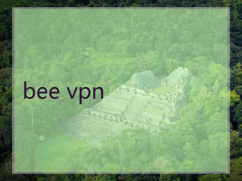 bee vpn